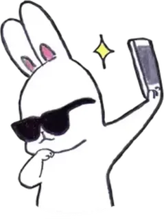 🤳 coniglio, cool, occhiali da sole, selfie, cartone animato, animale telegram sticker