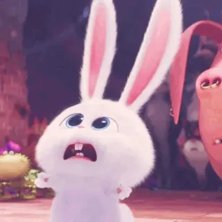 🎟 Snowball The Secret Life of Pets lapin, blanc, mignon, animal, animal de compagnie, dessin animé, choqué, surpris whatsapp sticker