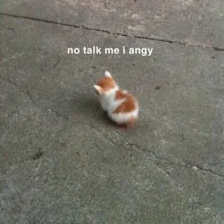 🤬 no talk me i angy cat, kitten, angry, meme, funny, humor telegram sticker