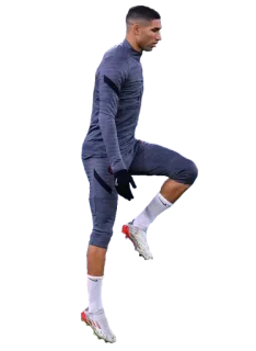 🦩 Joueur de foot, Footballeur, Sport, Athlète, Fitness, Exercice telegram sticker