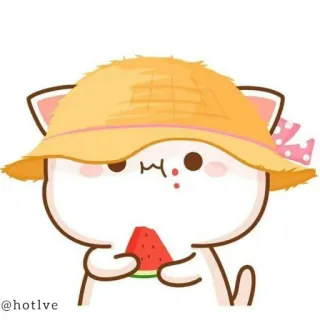 😋 @hotlve cat, watermelon, kawaii, cute, sticker telegram sticker
