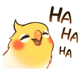 😆 HA HA HA pássaro, calopsita, rindo, engraçado, emoji, feliz telegram sticker