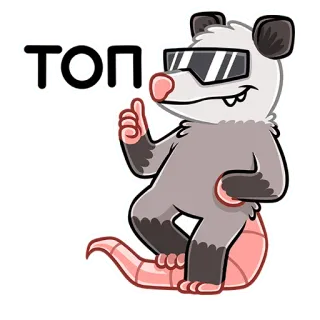 😎 ТОП zarigüeya, dibujos animados, genial, gafas, pulgar arriba, animal whatsapp sticker