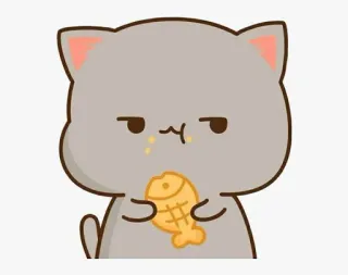 🐟 cat, fish, snack, animal, cartoon, cute whatsapp sticker