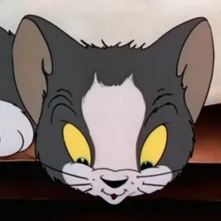 😳 cat, cartoon, animal, animated telegram sticker