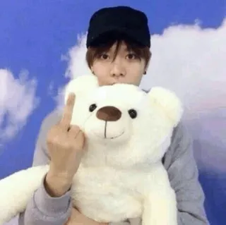 🖕 person, middle finger, offensive, gesture, teddy bear telegram sticker