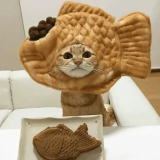 🐾 猫, たい焼き, 食べ物, かわいい, 動物, 帽子, ペット telegram sticker