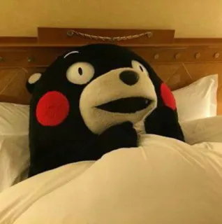 🐼 Kumamon Kumamon, oso, mascota, lindo, cama, dormilón telegram sticker