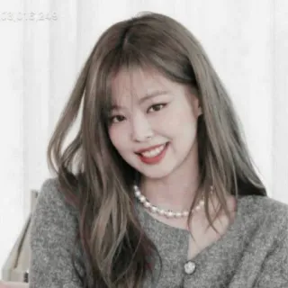 JENNIE KIM ┼❁ @FVCK00PRIDE telegram stickers