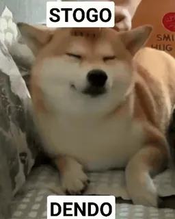 😌 STOGO DENDO perro, shiba inu, lindo, animal, mascota whatsapp sticker