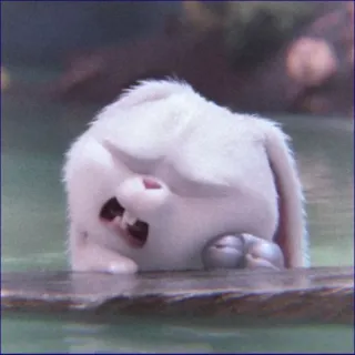 🥺 rabbit, cute, animal, bunny, white rabbit whatsapp sticker