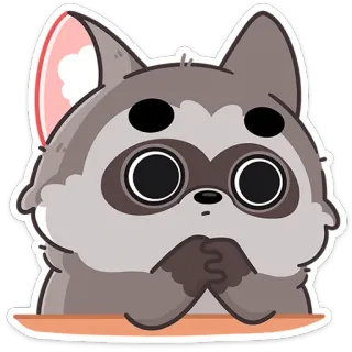 ☹️ szop, słodki, zwierzę, kreskówka, naklejka whatsapp sticker