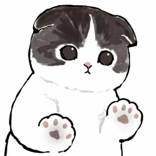 🥞 cat, cute, animal, kitten, pet, sticker telegram sticker