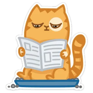 🚽 chat, lecture, journal, animal, dessin animé, domestique telegram sticker