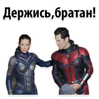 Antman @stickersb2b telegram stickers