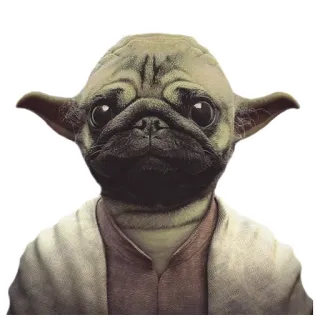 Meet The Pugs ( @Perkovec ) telegram stickers