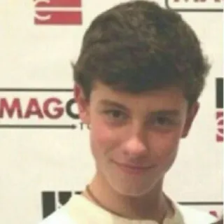😏 Shawn Mendes singer, celebrity, musician, young, teen idol telegram sticker