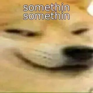 🌚 doge somethin somethin doge, mem, pies, śmieszne, mem internetowy telegram sticker