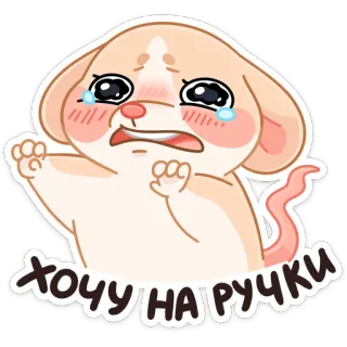 😭 ХОЧУ НА РУЧКИ cartoon, animal, mouse, crying, pleading telegram sticker