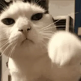 👊