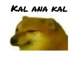 😂 Cheems KAL ANA KAL 犬, ミーム, Cheems telegram sticker
