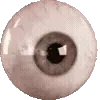 👁