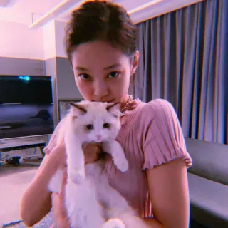 🥡 kucing, wanita, hewan peliharaan, dalam ruangan, hewan, hewan peliharaan telegram sticker
