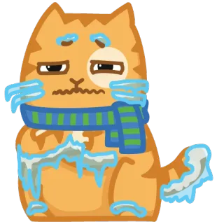 ❄ kat, winter, koud, sjaal, ijskoud, bevroren, oranje kat whatsapp sticker