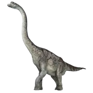 🦖 dinosauro, brachiosauro, sauropode, preistorico, animale telegram sticker
