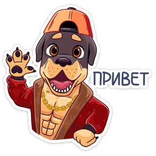 👋 ПРИВЕТ cachorro, cumprimento, desenho animado, animal, animal de estimação, russo telegram sticker