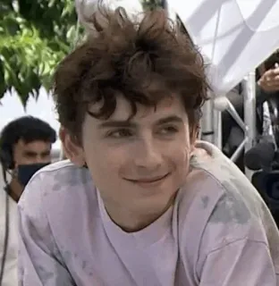 📯 Timothée Chalamet acteur, célébrité, portrait, homme telegram sticker