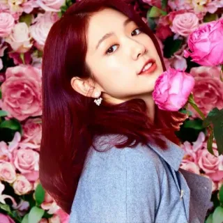 🌺 Park Shin-hye woman, flowers, portrait, actress, korean, celebrity, Park Shin-hye, beauty whatsapp sticker