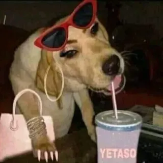 🐶 YETASO Hund, Sonnenbrille, Tasse, Mode, Lustig whatsapp sticker