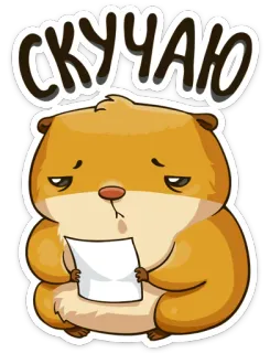 Сеня от @TgSticker telegram stickers