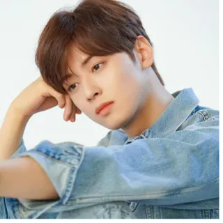 😔 Cha Eun-woo kpop, acteur, idole, coréen, chanteur whatsapp sticker
