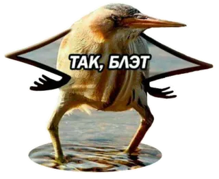 😠 ТАК, БЛЭТ bird, funny, meme, slang telegram sticker