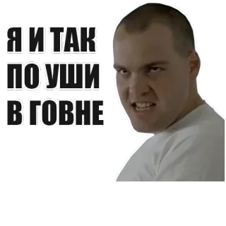 💩 Я И ТАК ПО УШИ В ГОВНЕ 生气, 脸, 沮丧, 俚语 telegram sticker