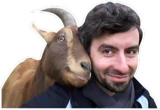 💑 goat, selfie, animal, pet, man telegram sticker