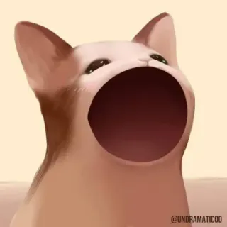 🥱 @UNDRAMATIC00 chat, animal, animal de compagnie, pop chat, mème whatsapp sticker