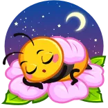 😴