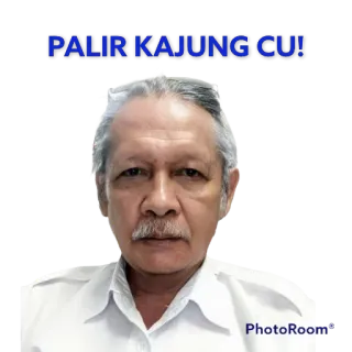 🤯 PALIR KAJUNG CU! mężczyzna, portret, obraźliwe, indonezyjski telegram sticker