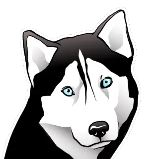 😧 chó, husky, động vật, thú cưng, động vật có vú, nhà telegram sticker