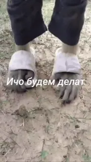 🌟 Ичо будем делат telegram sticker