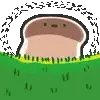 🍄