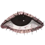 👁