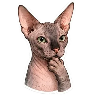 🤔 telegram sticker
