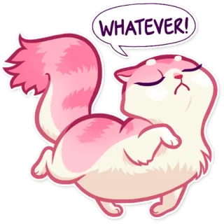 😒 WHATEVER! gato, gatito, rosa, lo que sea, actitud, lindo, esponjoso telegram sticker
