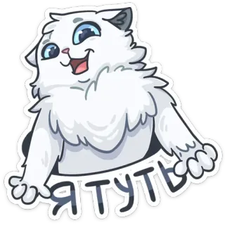 😌 Я ТУТЬ cat, animal, cartoon, sticker, cute, white cat telegram sticker