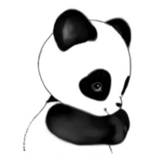 ☺️ Panda, Animale, Carino, Orso, Kawaii telegram sticker