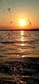 😭 sunset, water, nature, splashes, golden hour, landscape, tranquility, sea, sunlight, reflection telegram sticker